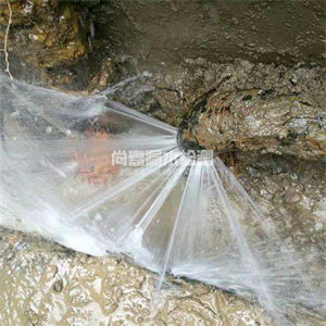 吐鲁番自来水管道漏点检测